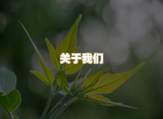 关于瑞达标测