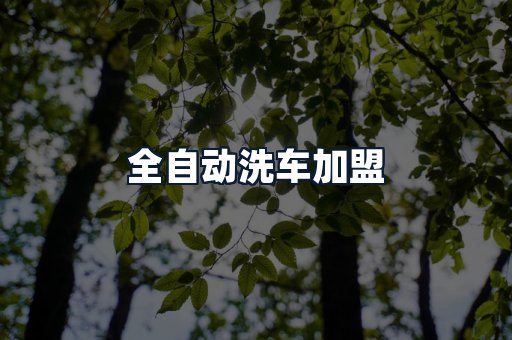 全自动洗车加盟