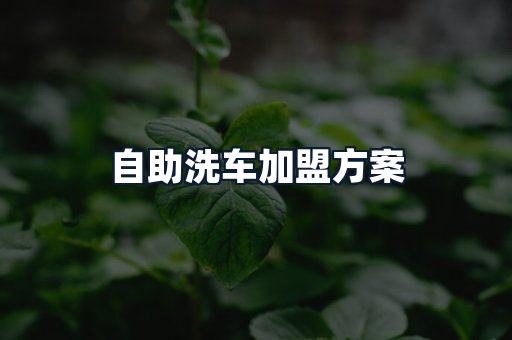 自助洗车加盟方案