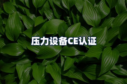 压力设备CE认证