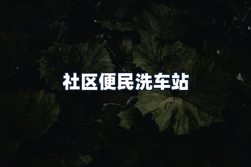 社区便民洗车站